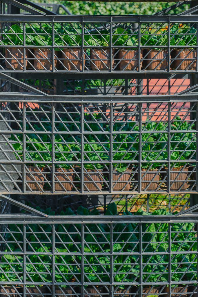 La Métallerie Verte : L'Avenir Durable de l'Industrie Métallurgique